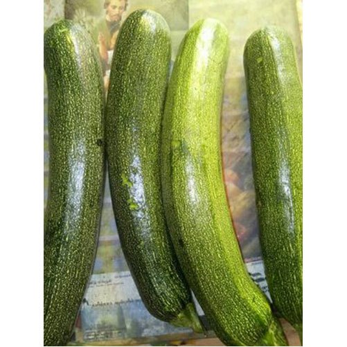 A Grade Fresh Green Zucchini, Packaging Type: Carton, Packaging Size Available: 5 Kg