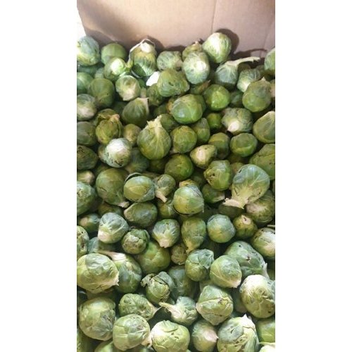 A Grade Tamil Nadu Fresh Brussels Sprouts, Net Bag, 10 Kg