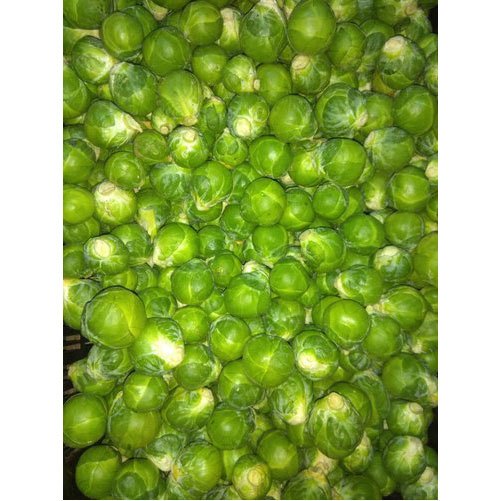 A Grade Green Brussels Sprout, Packaging Size: 10-15kg, Packaging Type: Plastic Bag