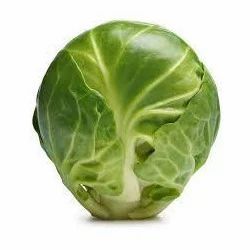 Brussels Sprout