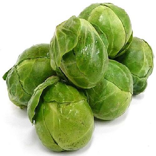 Brussel Sprouts Cabbage