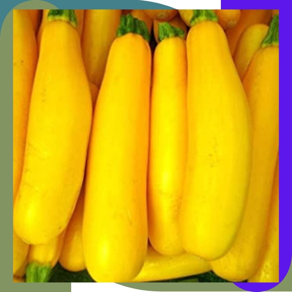 A Grade Yellow Zucchini (Baby Marrow), Packaging Type: Net Bag, Packaging Size: 5 Kg