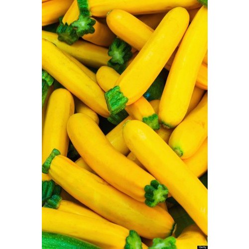 A Grade Yellow Zucchini