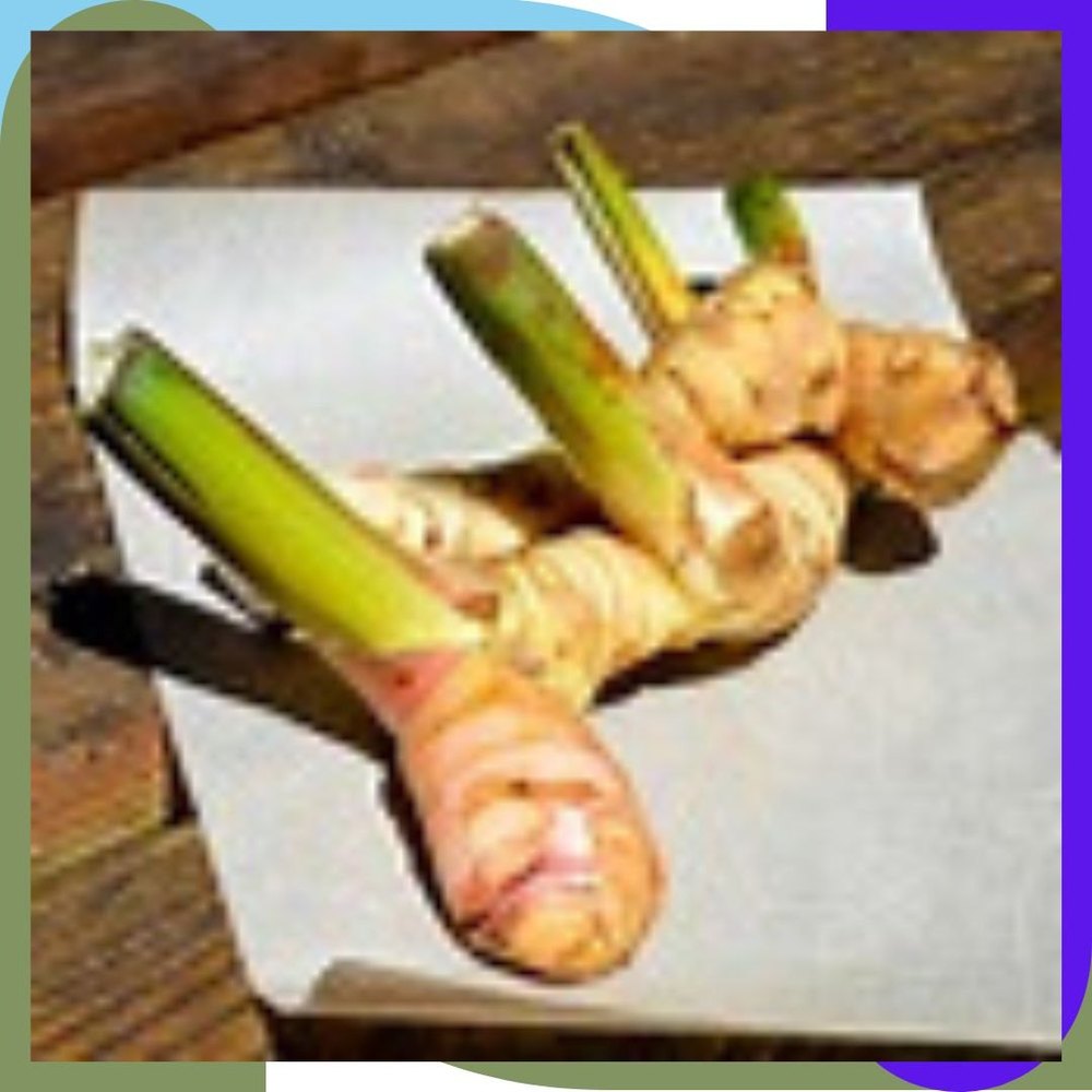 A Grade Green Galangal Thai Vegetable (Kaempferia Parviflora), Packaging Type: Carton, Packaging Size: 5 Kg