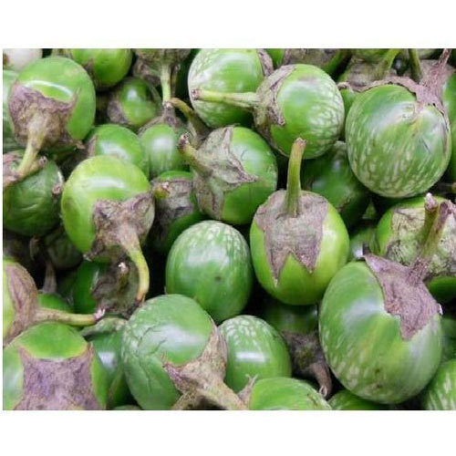 Thai Brinjal