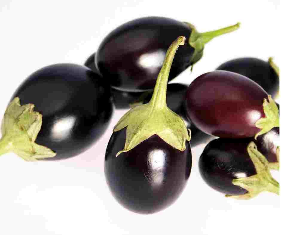 Brinjal