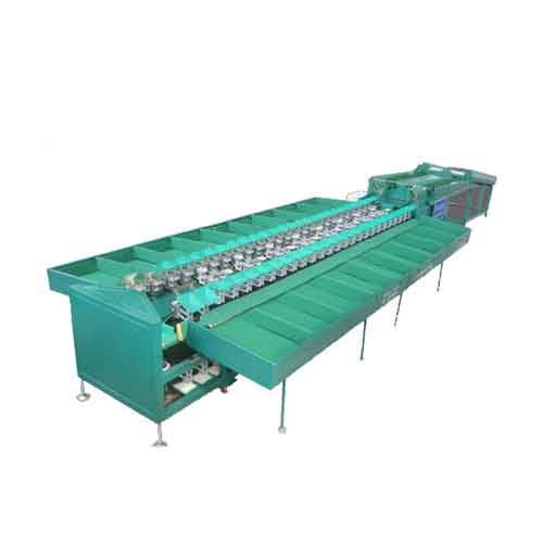 Automatic Garlic Grading Machine