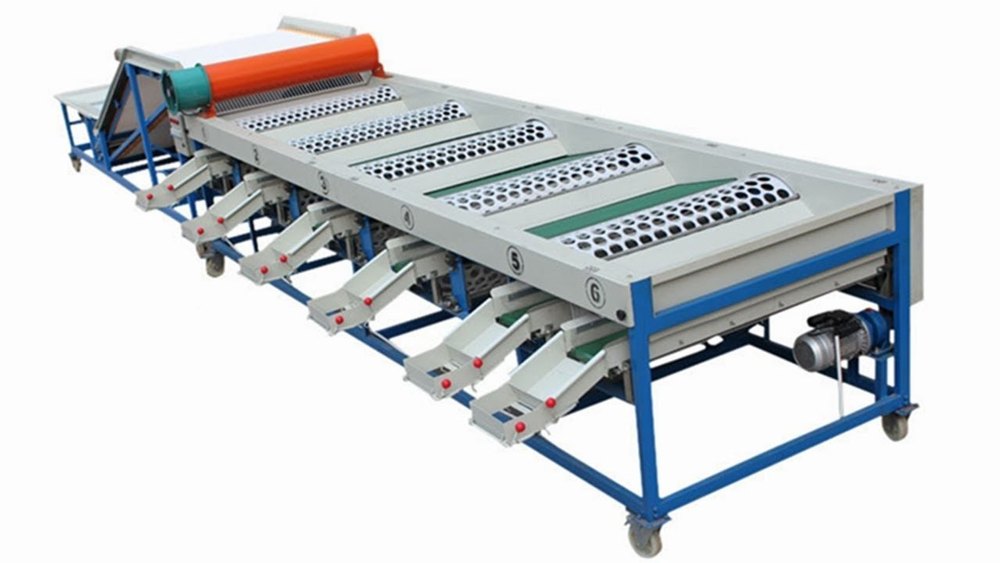 Automatic Garlic Grading Machine