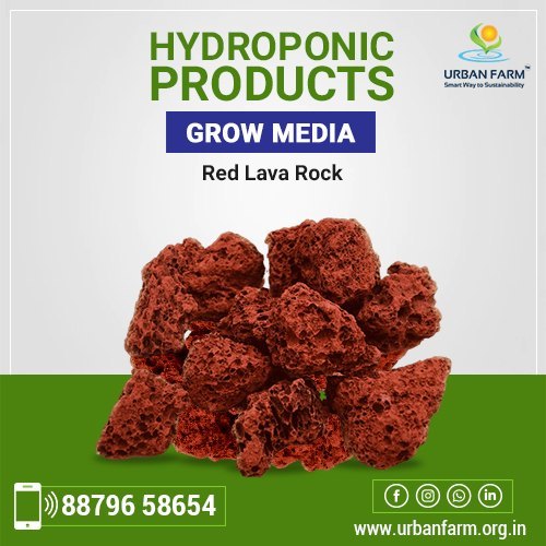 Red Lava Rock, For Tandoor, Size: 4 Inch