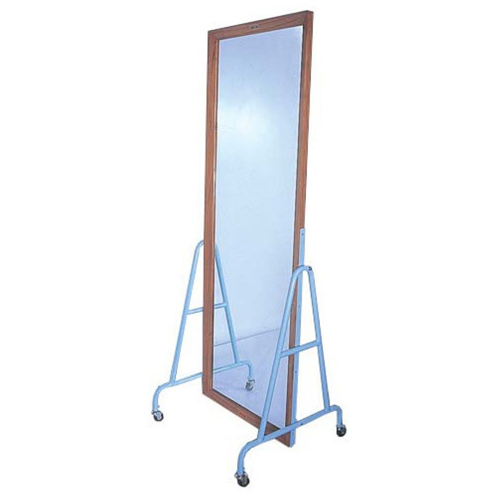 Silver Glossy Postural Training Mirror Movable, For Clinic