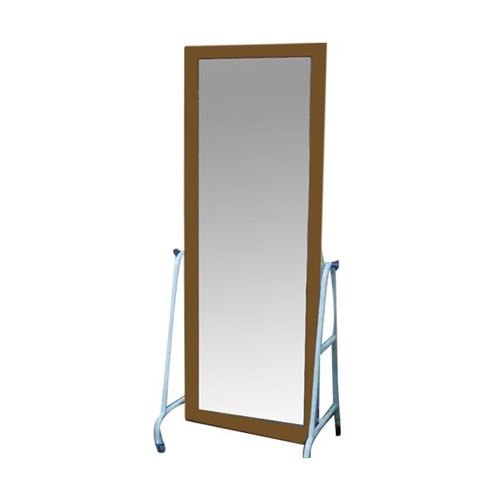 Postural Mirror