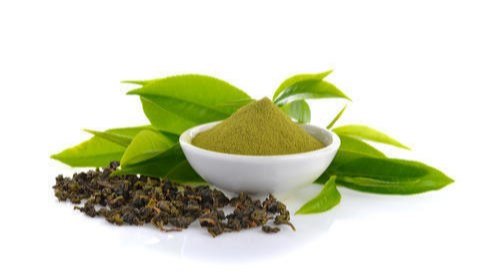 Green Tea Dry Extract 50%