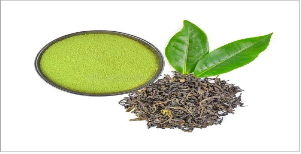 Green Tea Extract, Packaging Type: Bag, Packaging Size: 25 kg