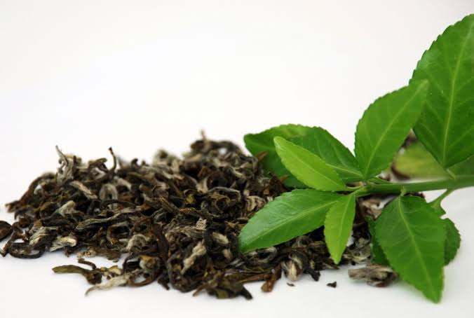 Green Tea Extract, Packaging Type: Bags, Packaging Size: 5kg