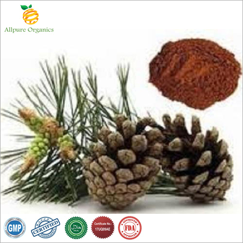 Allpure Organics Pine Bark Extract