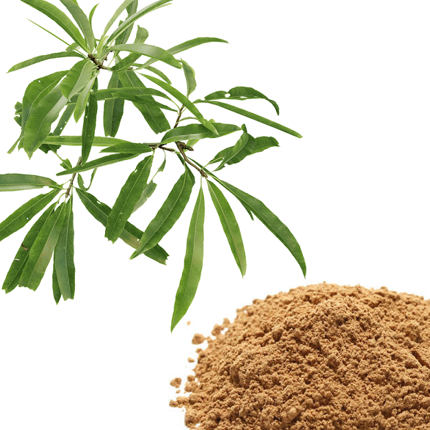 Powder Brown White Willow Bark Extract, For Medicinal, Packaging Type: 25 Kg Hdpe Drum