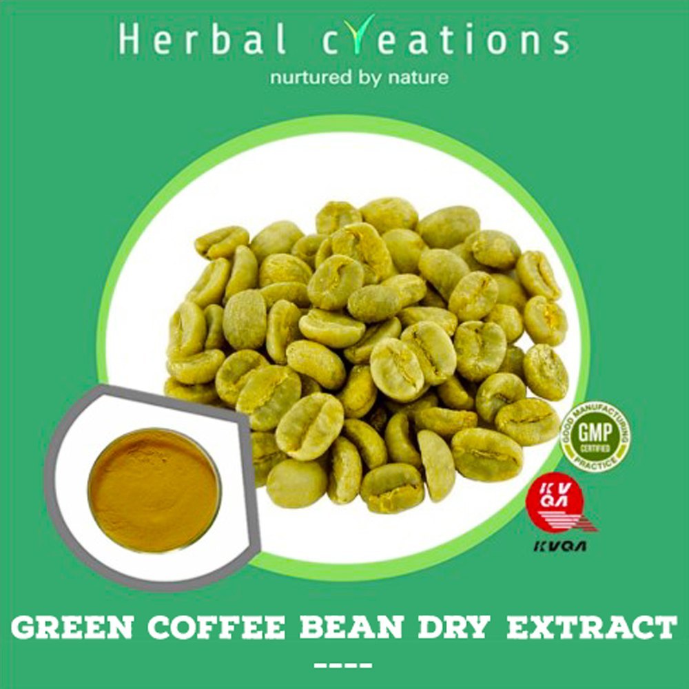 Powder Green Coffee Bean Dry Extract