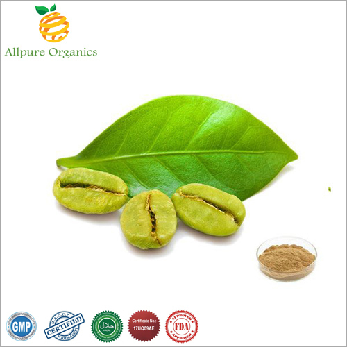 Green Coffee Bean Extract 45%