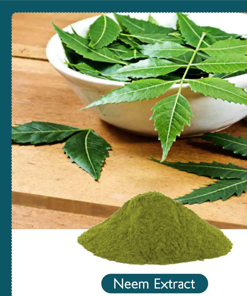 Neem Leaf Extract, Packaging Type: Packet