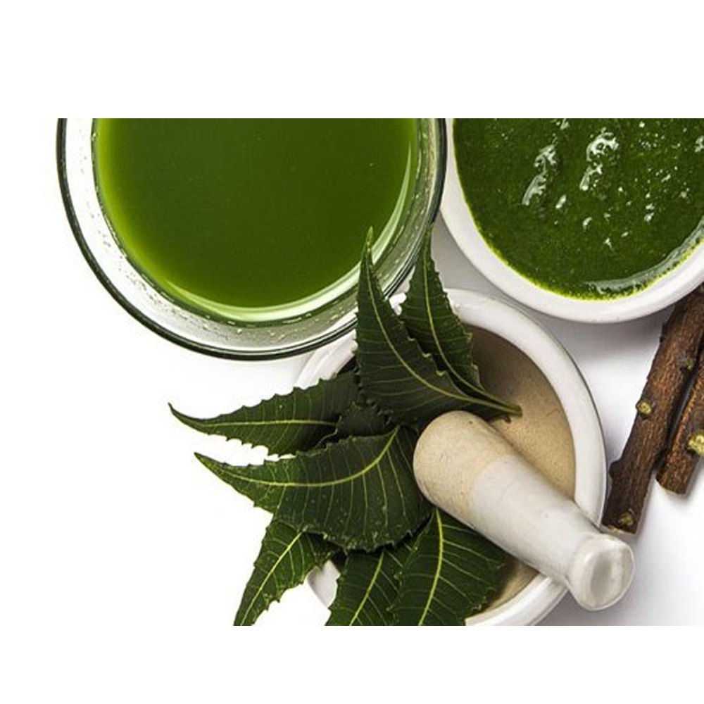 Neem Azadirachta Indica Liquid Extract