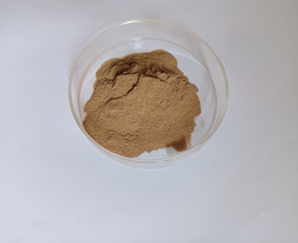 Bhumi Amala Extract 10% Bitter (Phyllanthus niruri), Packaging Type: Loose