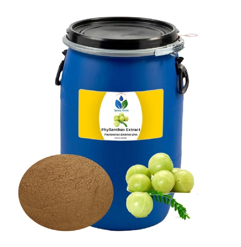 Brown Phyllanthus Extract Powder, Packaging Type: HDPE Drum