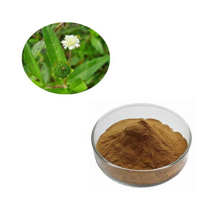 Paederia Foetida Extract, Packaging Size: 5/10/25 kg