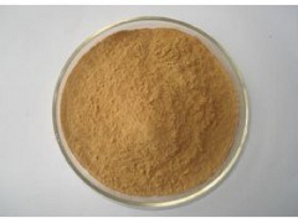 Milk Thistle Extract Powder, Packaging Type: Hdpe Drum, Pack Size: 25 Kg