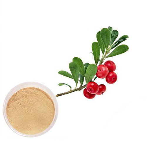 Bearberry Extract, Pack Size: 5 Kg