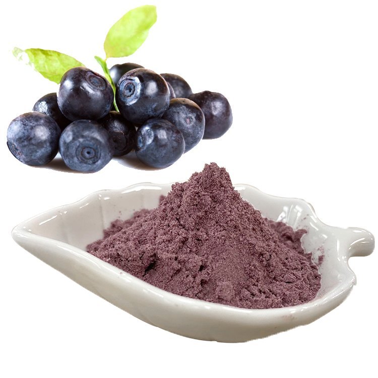 Acai Berry Extracts, Packaging Type: Packet, Packaging Size: 1kg