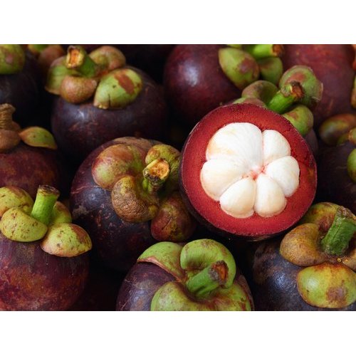 Mangosteen Extract, Packaging Type: Pp Bag