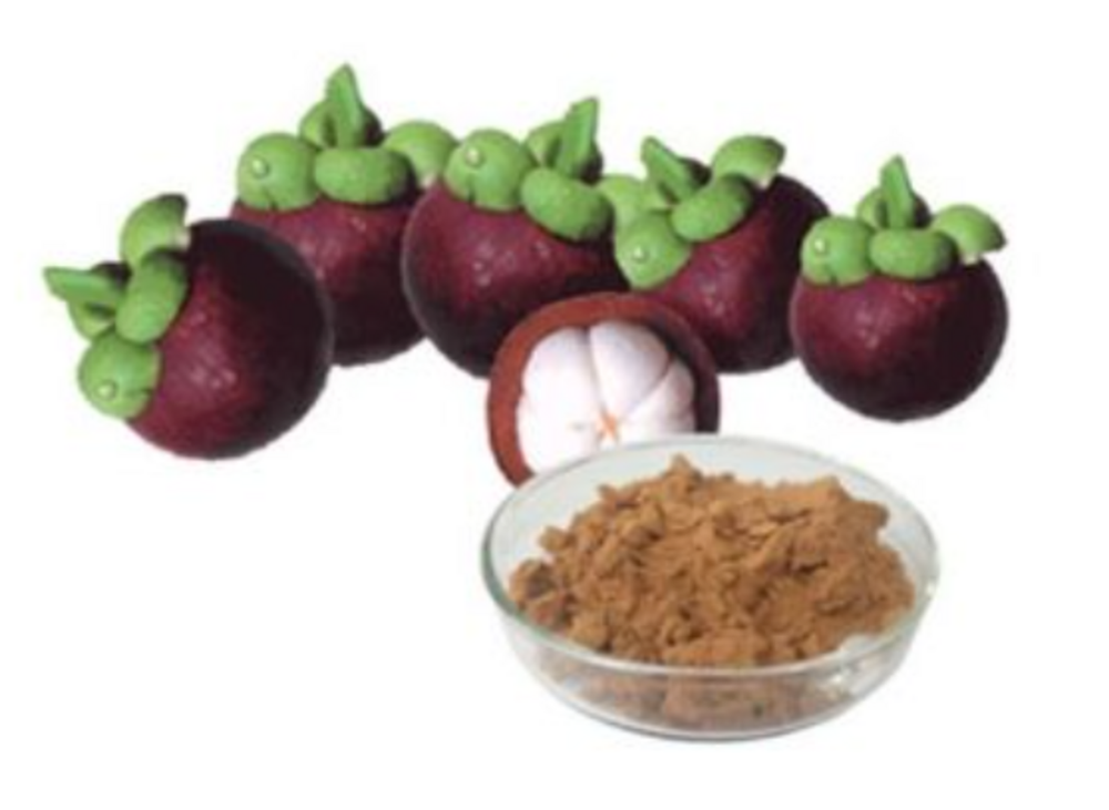 Mangosteen Extract, Form: Powder, Packaging Size: 25Kgs