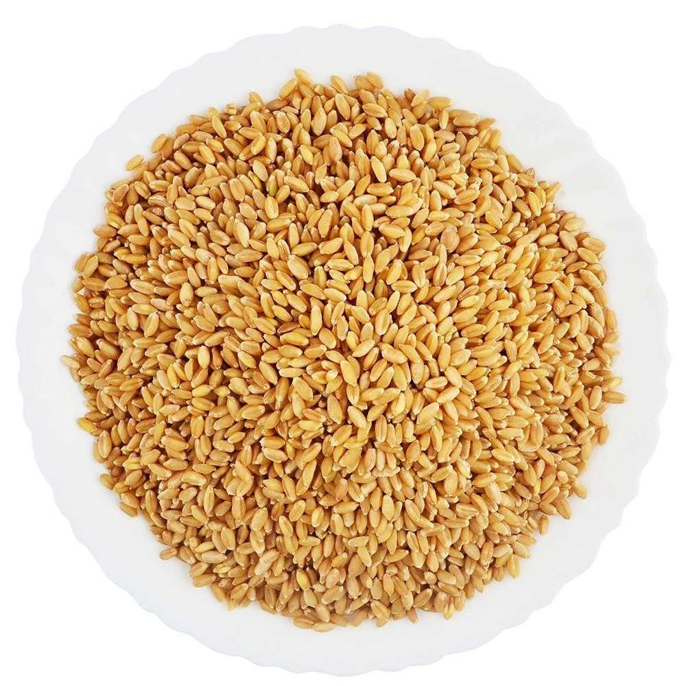 Brown Dried Lokwan Wheat