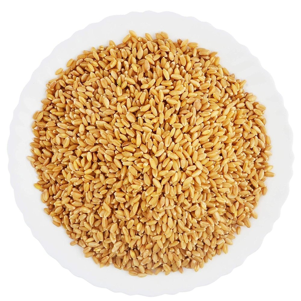 Golden B Grade Lokwan Wheat