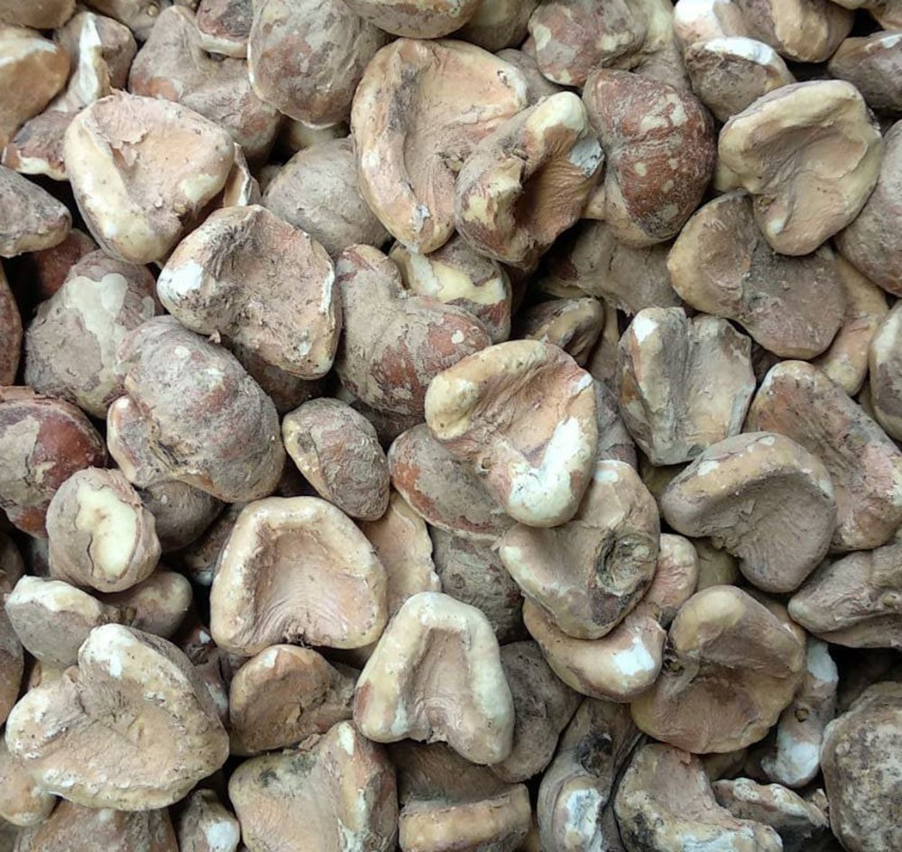 A Grade Salty Roasting Chestnut, Packaging Type: Loose