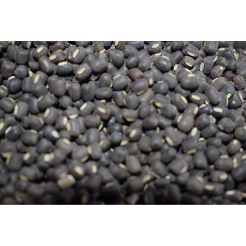 Whole Black Urad Dal, Packaging Size: 50 Kg, High in Protein