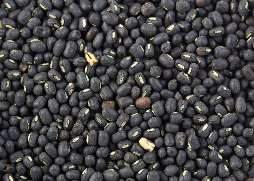 Black Sabut Urad Dal, India, High in Protein