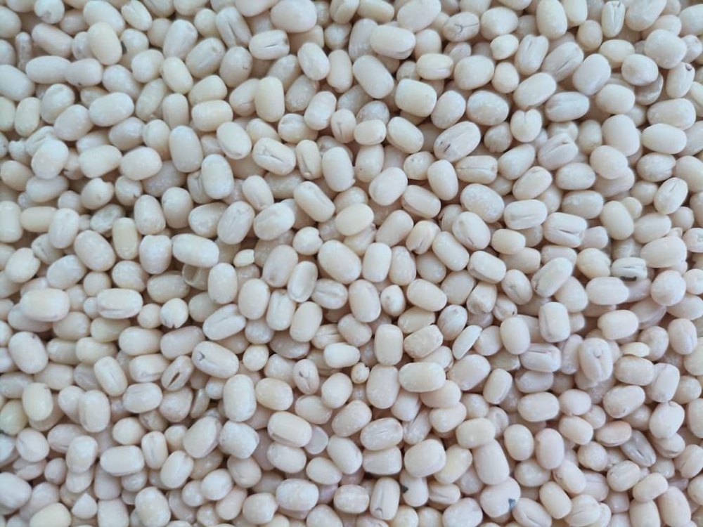 White Sabut Urad Dal, Pan India, Packaging Size: Loose