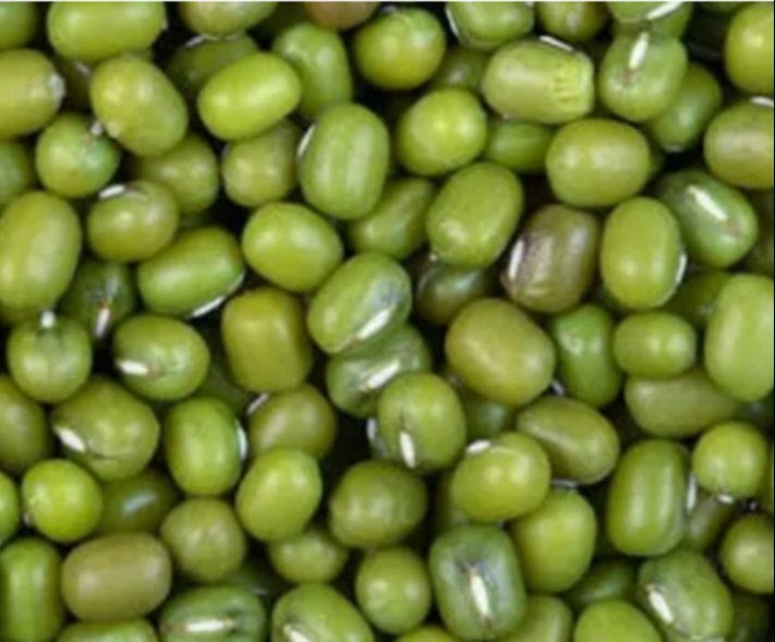 Moong Green Whole Mung Pulse, Gluten Free, Packaging Size: 50 Kg