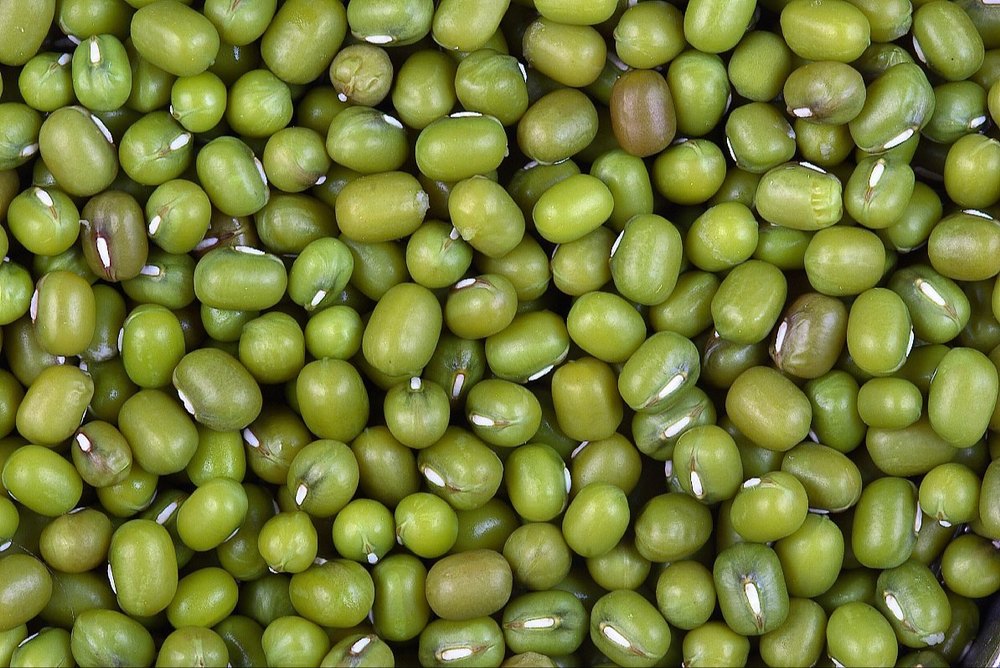 Green Gram Moong Bean, High in Protein, Packaging Size: Loose