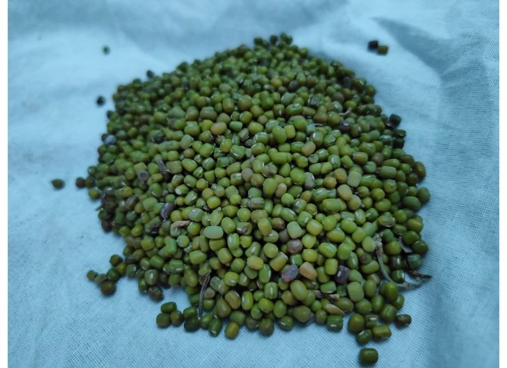 Green Moong Dal, High in Protein