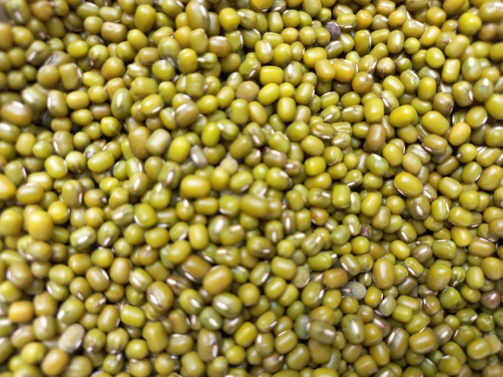 Fresh Green Moong, Gluten Free, Packaging Size: Loose