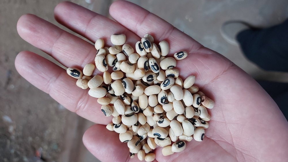 Desi Aahar White Black Eyed Beans Lobia, Pan India, Packaging Size: 1 Kg