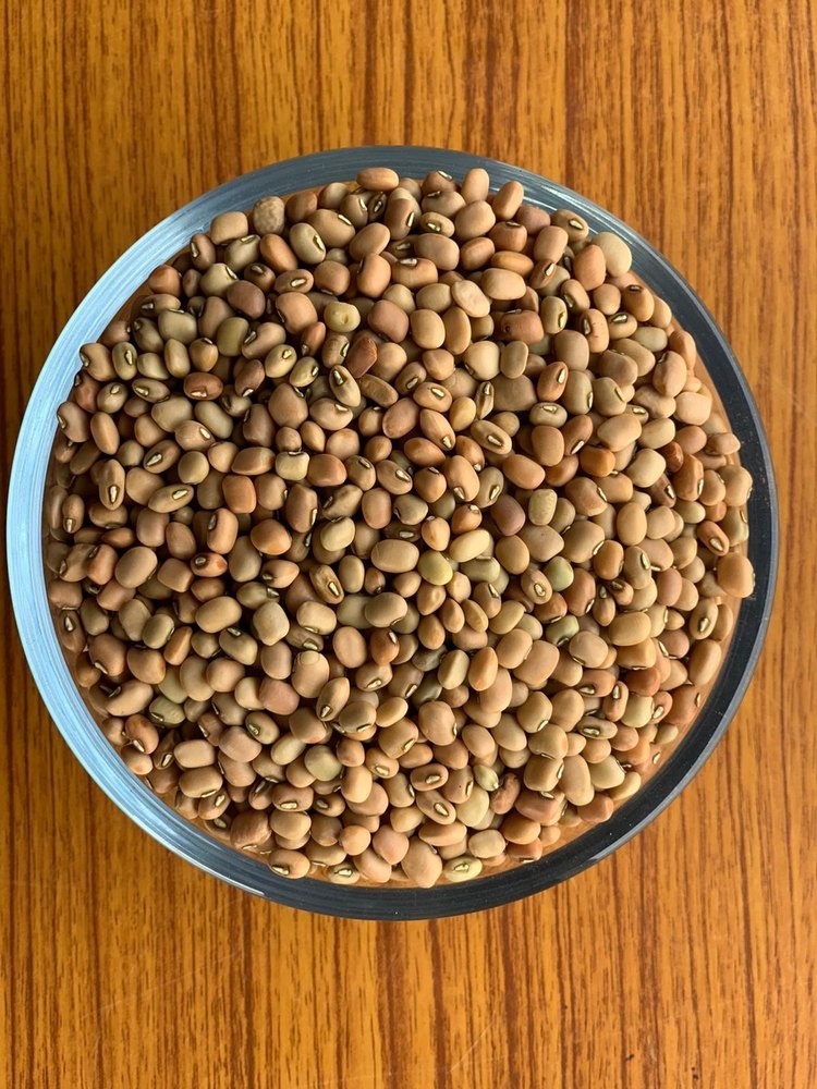 Brown Lobia Beans Seed, High in Protein