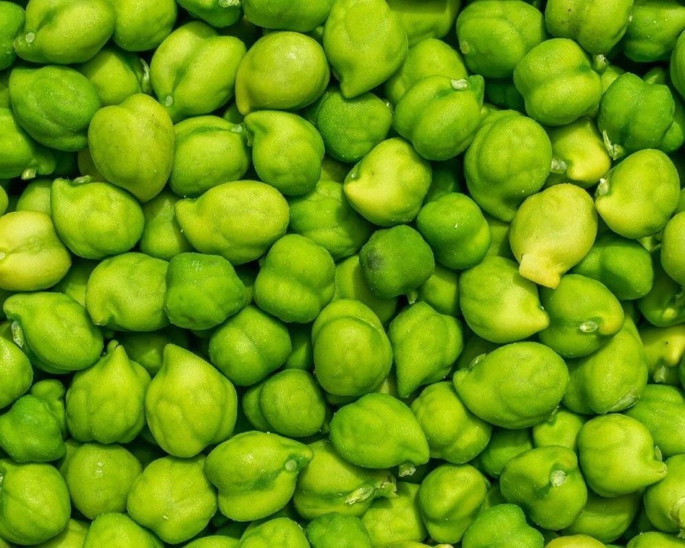 Desi Green Chickpea, Packaging Type: Loose