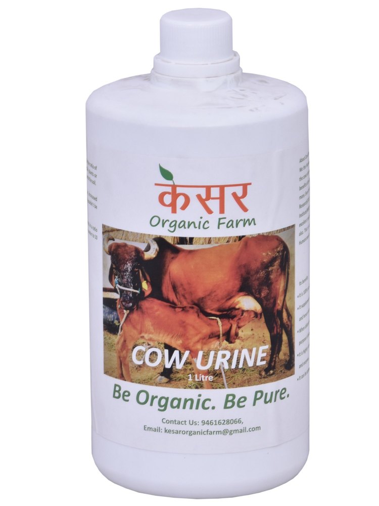 1 Litre Cow Urine