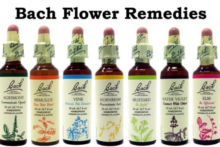 Bach Flower Remedies