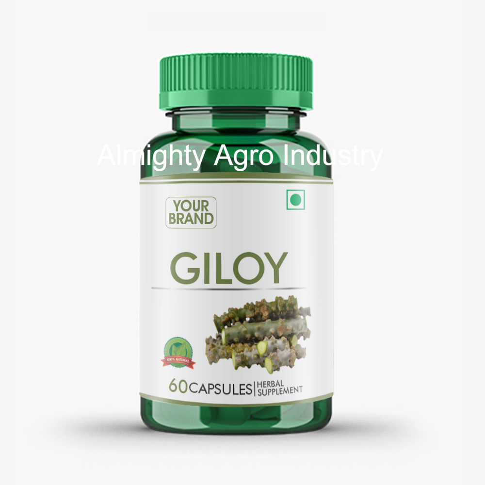 Giloy Capsules, Packaging Type: Bottle