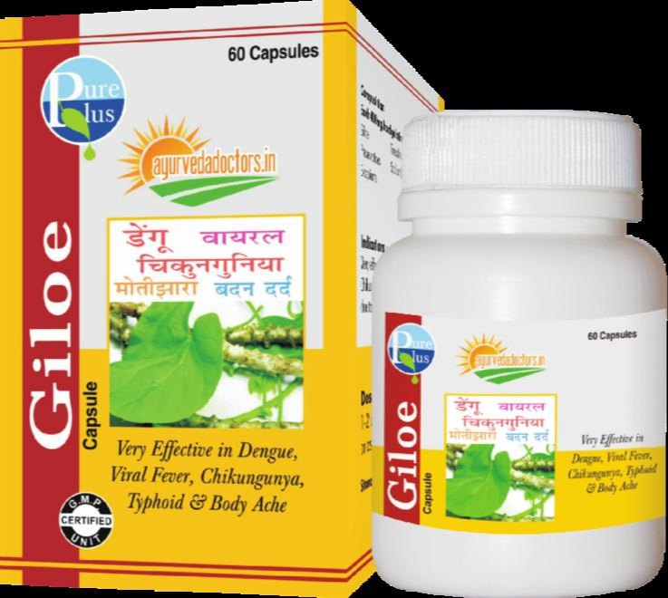 Pure Plus Giloe Tablets, Packaging Size: 1x80 Loose