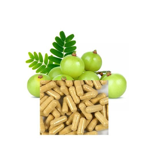 Amla Extract Capsule, 60 Capsules